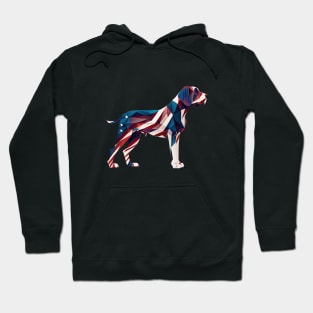 Pointer dog 4th of July Hoodie